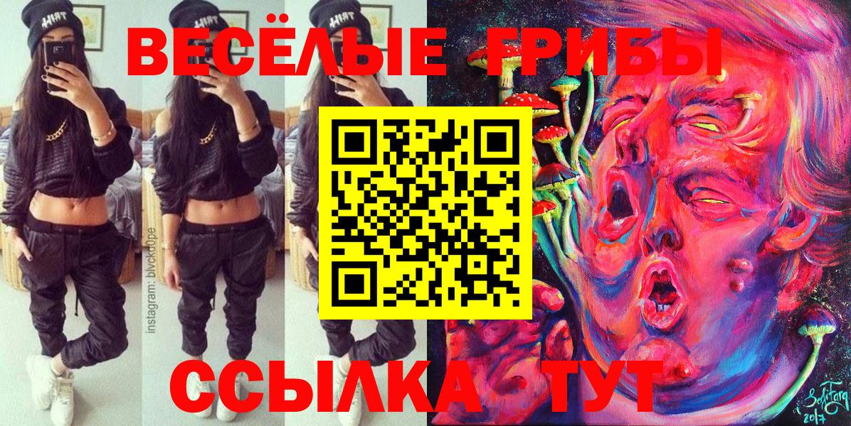 Череповец  даркнет сайт  Вход с VPN  Псилоцибиновые грибы мухоморы 